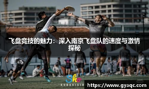 星空体育平台app