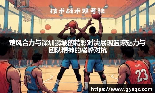 星空体育平台app