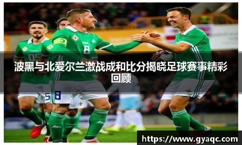 波黑与北爱尔兰激战成和比分揭晓足球赛事精彩回顾