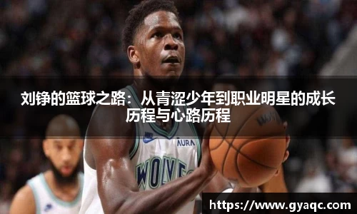 星空体育网站入口