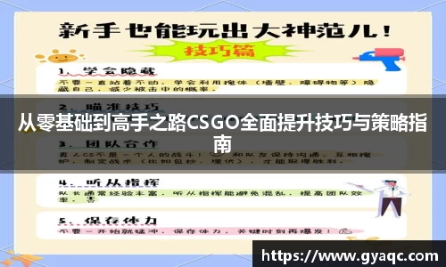 从零基础到高手之路CSGO全面提升技巧与策略指南